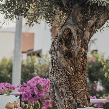 The Bay View Kalkan Отель Каш